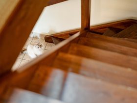 Wat kost een houten trap in huis?