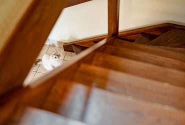 Wat kost een houten trap in huis?